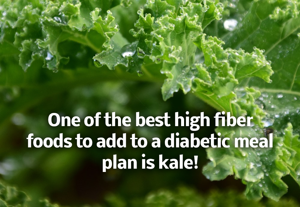 Is fiber good for diabetics